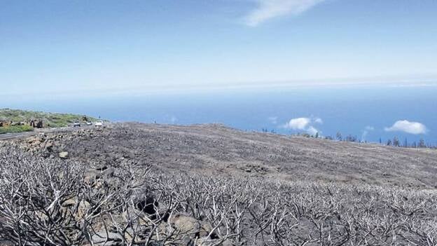 El parque de El Roque caduca si no se inicia la obra en breve