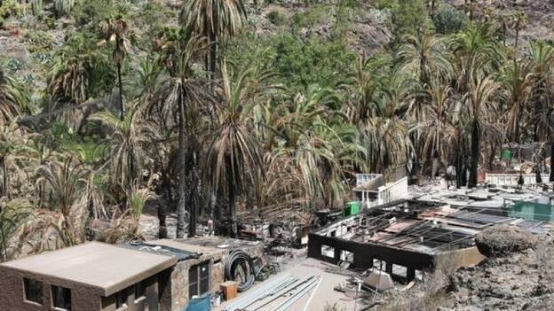 'Palmitos Park': Cuenta atrás para retomar 27 años de historia