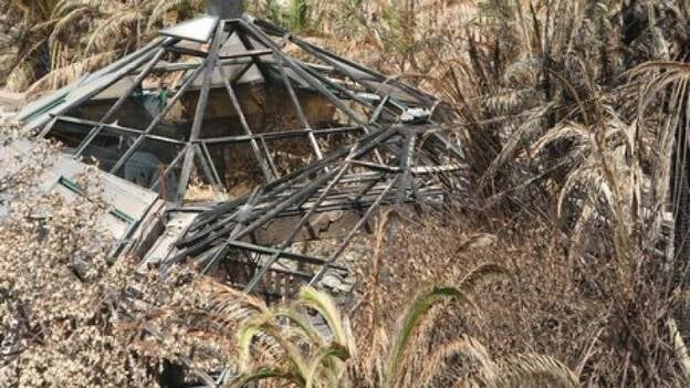 Imágenes del estado en que ha quedado Palmitos Park