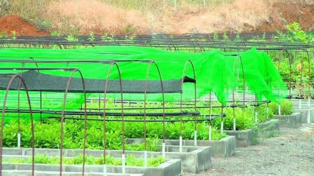 El centro de la flora y fauna tendrá una sala audiovisual