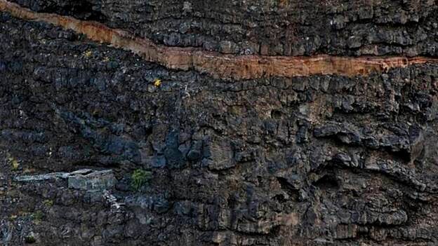 Una cabra lleva una semana atrapada en un risco gomero