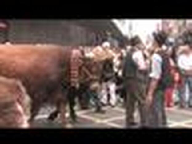 Cita de tradiciones en el Segundo Paseo Romero con motivo de la fiesta regional