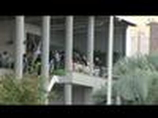 Triste adiós a Tadeo