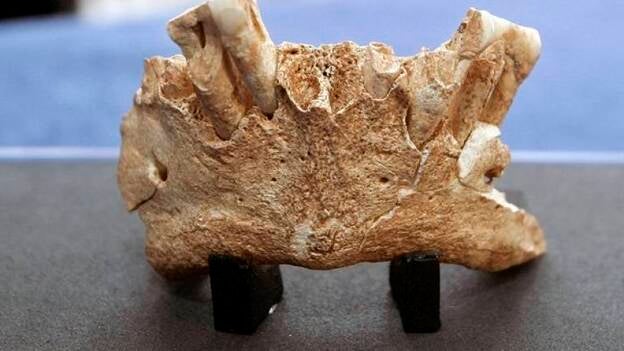El equipo de Atapuerca cree que hay que cambiar el mapa de la evolución humana