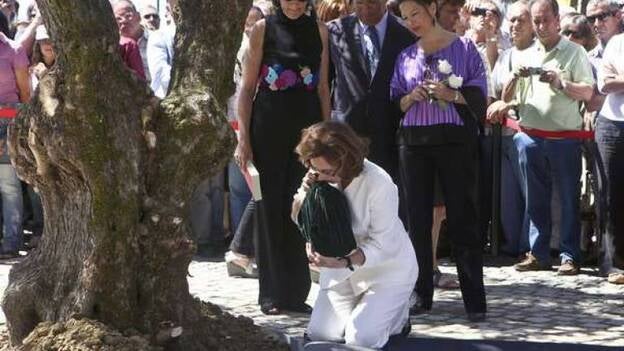 Saramago vuelve a sus orígenes, junto a un olivo, un año después de su muerte