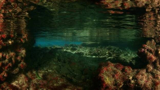 Las Canteras, plató de lujo