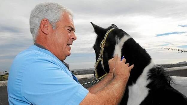 No ladran, pero cabalgan con chips