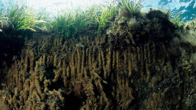 La contaminación por metales en el Mediterráneo comenzó hace 2.800 años