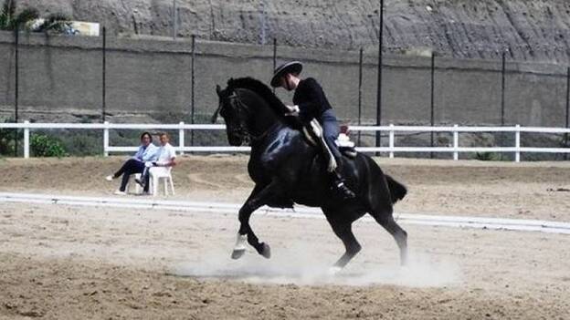 Carmelo Santana, líder provisional