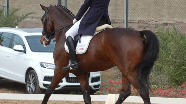 María Brito sorprende con 'Sunny Boy&'