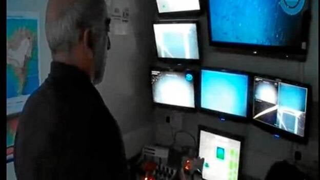 Medusas inmunes a la erupción