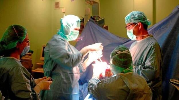 Rodillas que rellenan huesos