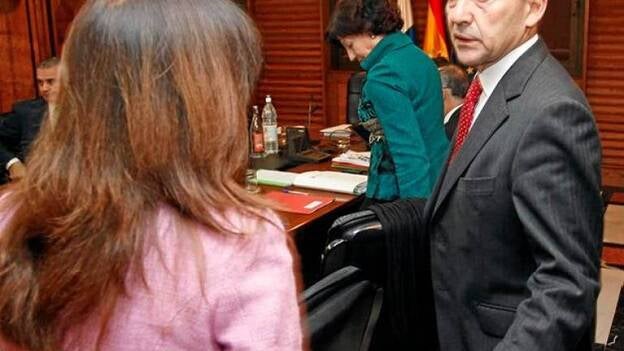 "No" canario al decreto de Soria