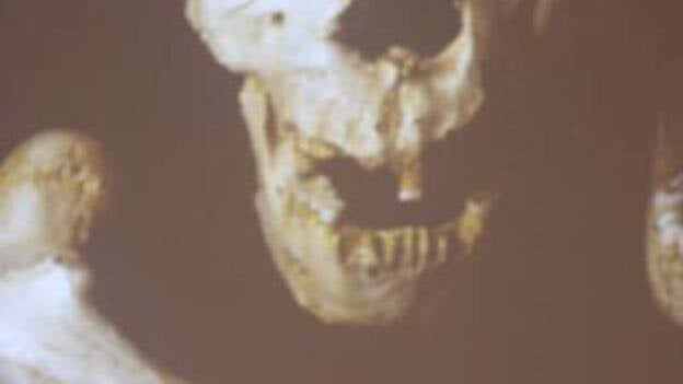 Arsuaga: "Sólo la ideología puede hacer que dos hermanos se maten"