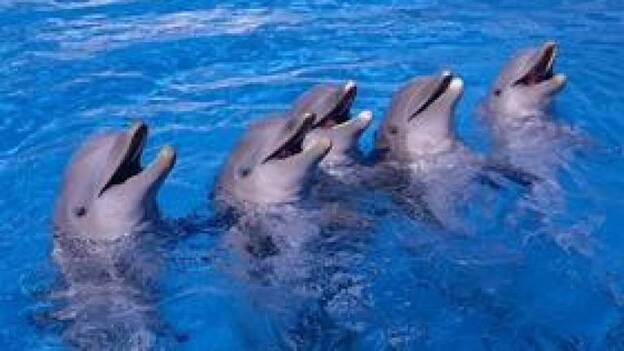 Palmitos Park lanza su primer concurso de fotografía