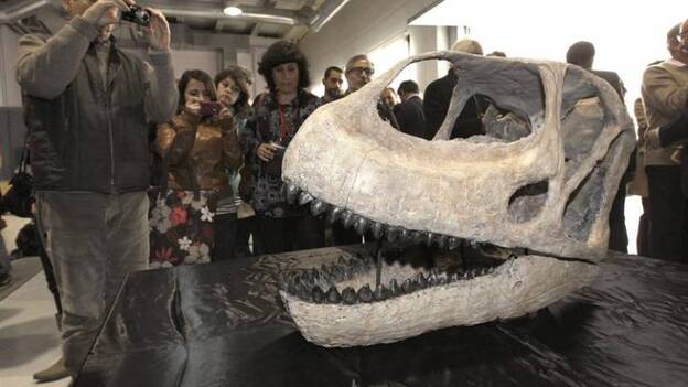 Hallan en Teruel el cráneo del dinosaurio más grande de Europa