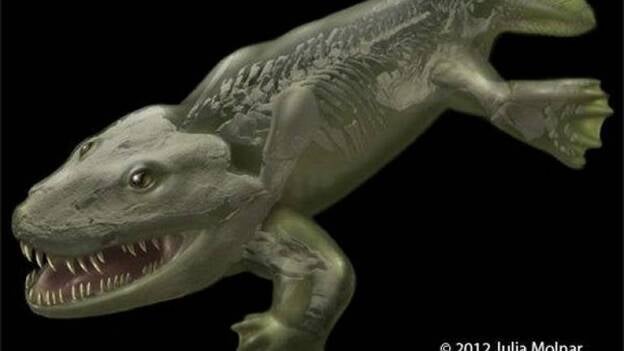Un animal "clave" en la evolución de vertebrados no andaba como la salamandra