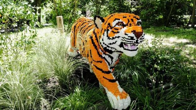 Safari de lego en El Bronx