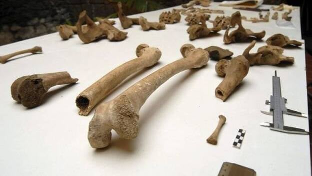 Hallan los restos de al menos siete aborígenes prehispánicos en El Hierro