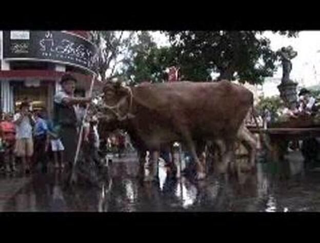 Vegueta celebra su tradicional romería