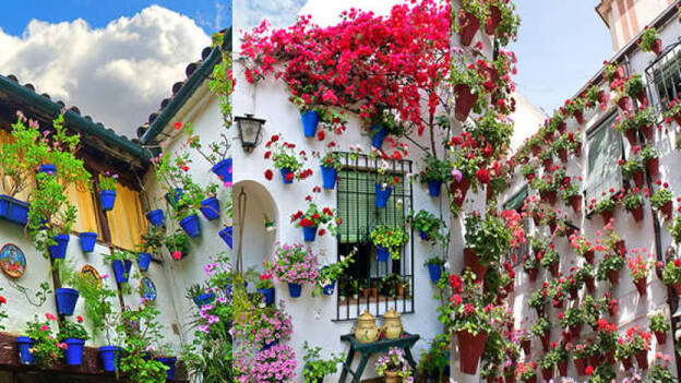 Los patios cordobeses entran en el patrimonio inmaterial de la humanidad