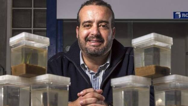 Reactivan semillas de seba para acuarios y trasplantarlas en la naturaleza