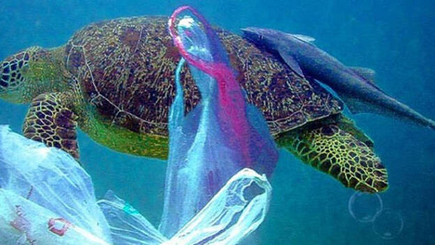 Las "sopas de plástico" de los océanos seguirán creciendo durante 500 años