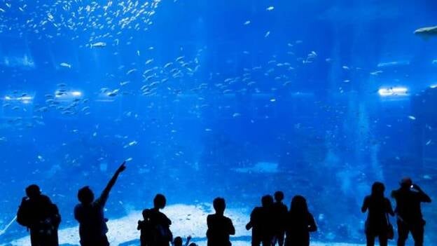 Singapur estrena el acuario con el mayor volumen de agua del mundo