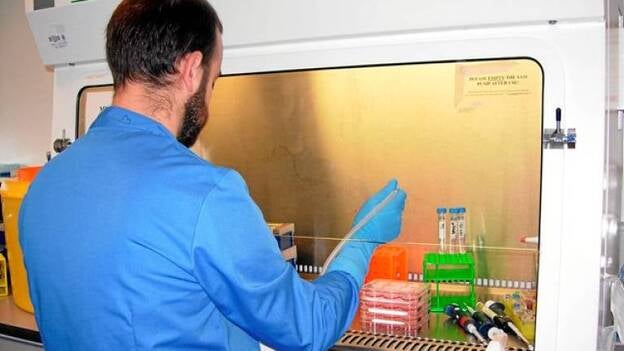 La crisis dispara la marcha a Asia