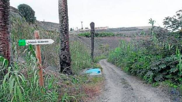 Un vecino denuncia la existencia de un vertedero ilegal de animales en Arucas