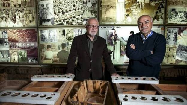 El tomate canario: 125 años de historia de exportación que rebaten tópicos