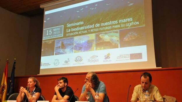 El inesperado efecto de la crisis en las tortugas y en las medusas