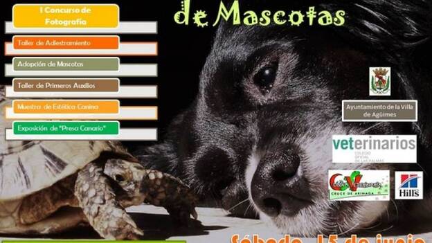 Agüimes organiza la I Feria de cuidados básicos de las mascotas
