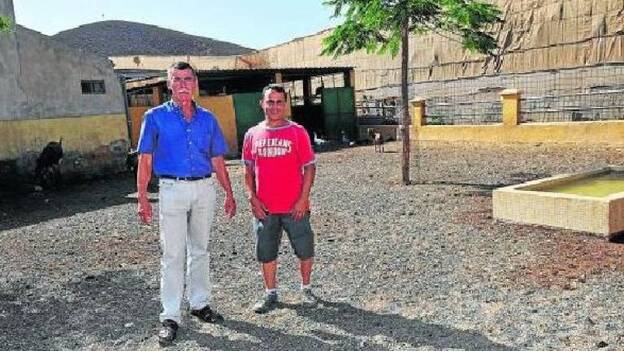 ‘Bambi’ se muda a un ‘zoo-hotel’