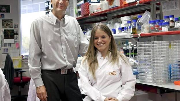 Científicos españoles logran que células madre adultas retrocedan a estado embrionario