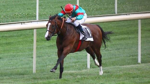 El español "Noozhoh Canarias", segundo en París contra los mejores de Europa