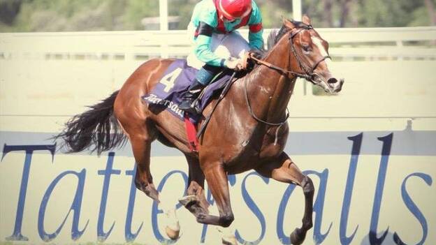 "Cielo Canarias", compañero de "Noozhoh Canarias", aspira al doblete