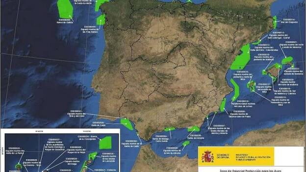 España propone proteger 50 nuevos espacios marinos, varios en Canarias