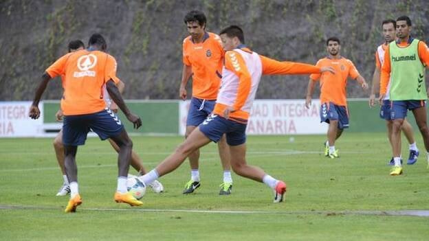 Leo, una alternativa presente para Lobera