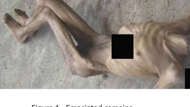 Las duras imágenes de las torturas