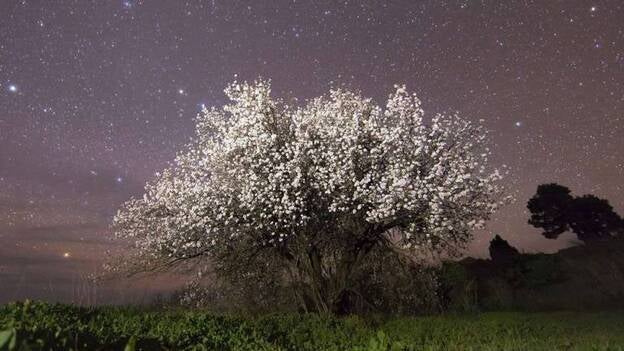 Las estrellas revelan la magia nocturna de los mejores paisajes de Canarias
