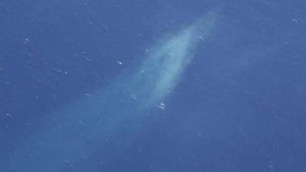 Envían helicóptero para examinar un "objeto amarillo" avistado en el mar