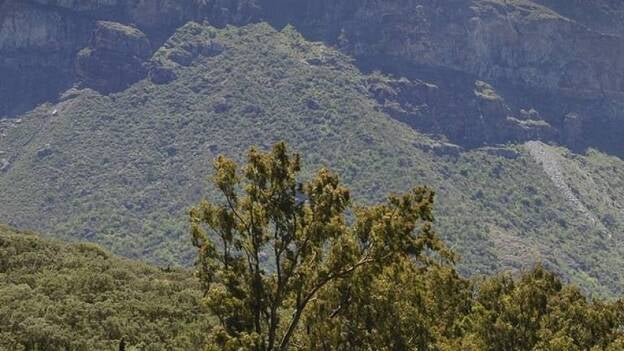 Gran Canaria ya huele a gasolina