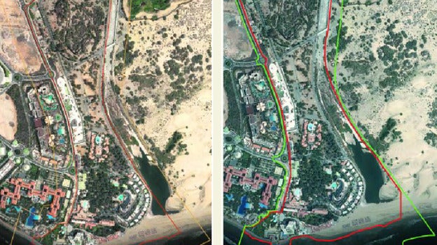 Palmeral de techo y faro de icono