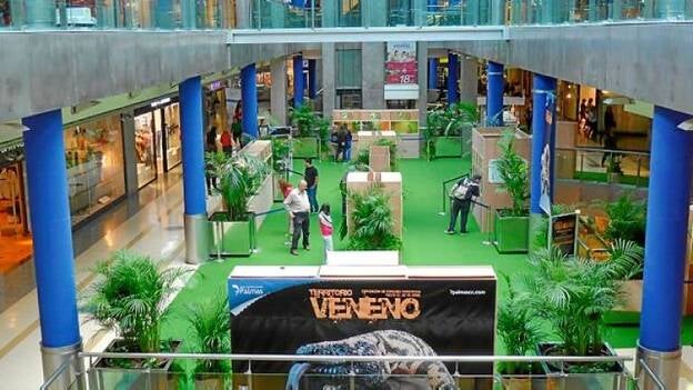 ‘Territorio Veneno’, una cita con fauna letal en el centro comercial 7 Palmas