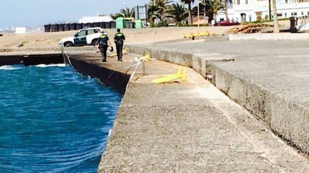 El Seprona busca más piche en Castillo del Romeral