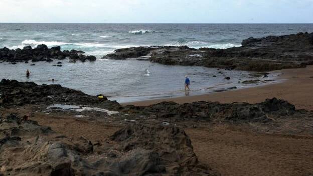 Canarias izará este año 43 banderas azules en sus playas