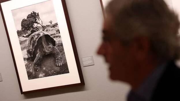 'Génesis':la belleza del planeta que ayudó a Salgado a recuperar la confianza