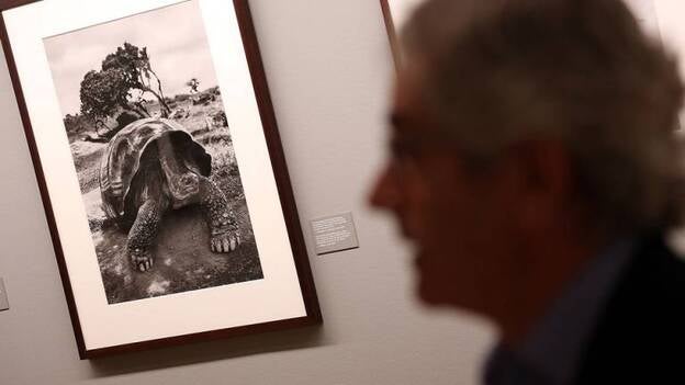 'Génesis', el planeta que ayudó a Salgado a recuperar la confianza