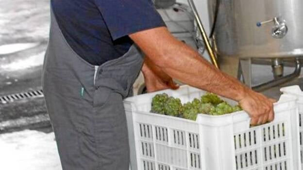 El fiscal no dio igual trato a dos bodegas punteras de La Geria